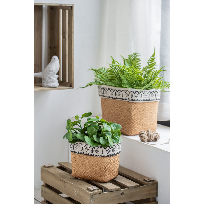 Jardinières géométriques multicolores à finition géométrique en forme de panier brun de 2 ciment pour l'intérieur ou l'extérieur
