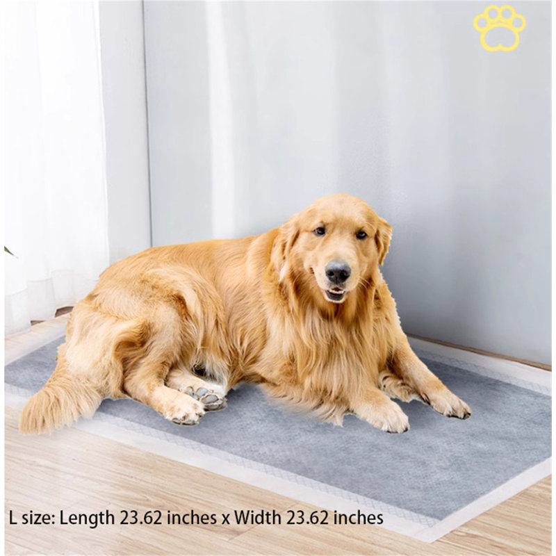 Tapis pour chien (ensemble de 80)