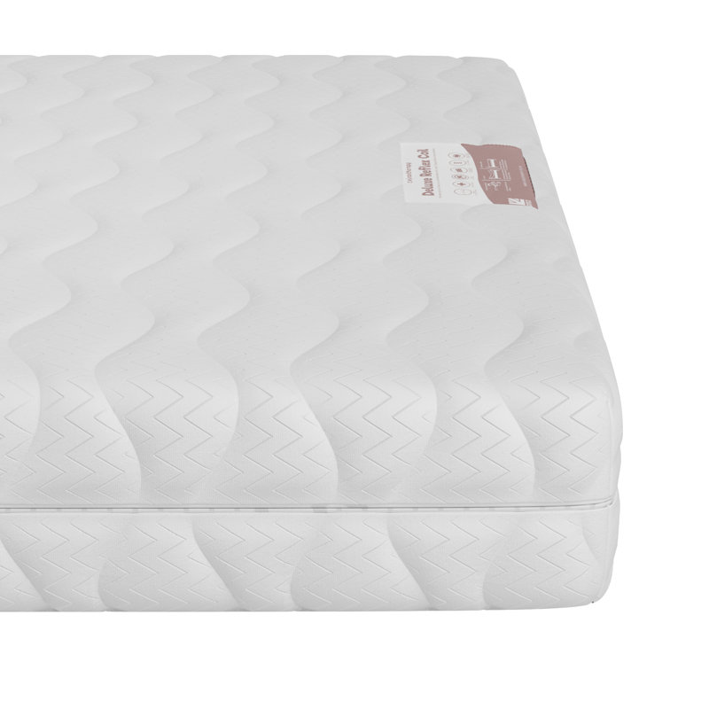 Ortho Sleep Flippable 25cm Extra Firm Support Foam Mattress, Small Double (4')