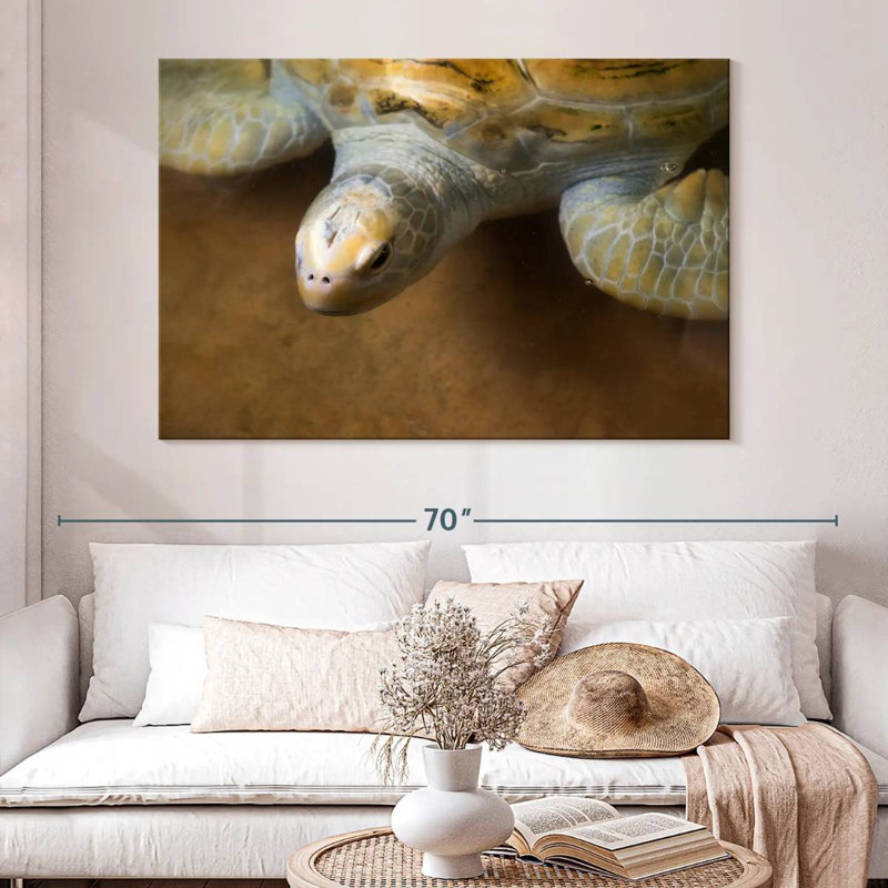 Stunning Turtle, 34" H x 51" W