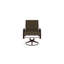 Aruba 1 Outdoor Dining Armchair-9876288-9876274