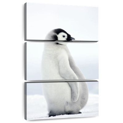 Brampt Adorable Baby Penguin