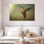 Colibri roux Brampt femelle-108815931
