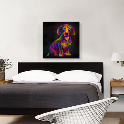 " Dachshund Colourful Animal Dog "