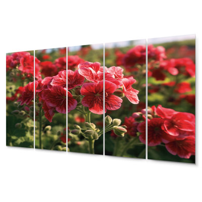 Red Green Geraniums Flower Euphony I Plants & Flowers Wall Decor on Metal