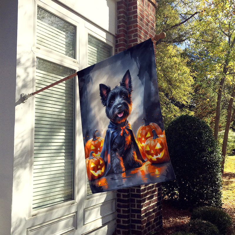Drapeau de chiot Halloween House, Terrier écossais