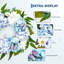 Couronne de printemps 20 po pour porte d'entrée, couronne d'hortensias artificiels bleus et blancs avec marguerite papillon pour décoration murale