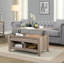 Table basse à plateau relevable, table basse avec compartiment de rangement caché et tablette inférieure, table centrale de 41 po pour le salon, le bureau-210279229-210279218