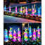 Ensemble de 28 lumières de couleur 28 po
