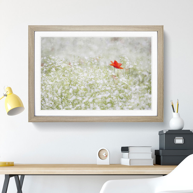 Lone Poppy Flower - Picture Frame Graphic Art, 27cm H x 36cm W x 2cm D, Oak Framed