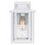 Lanterne murale d'extérieur 1 lumière Badgley-320635977