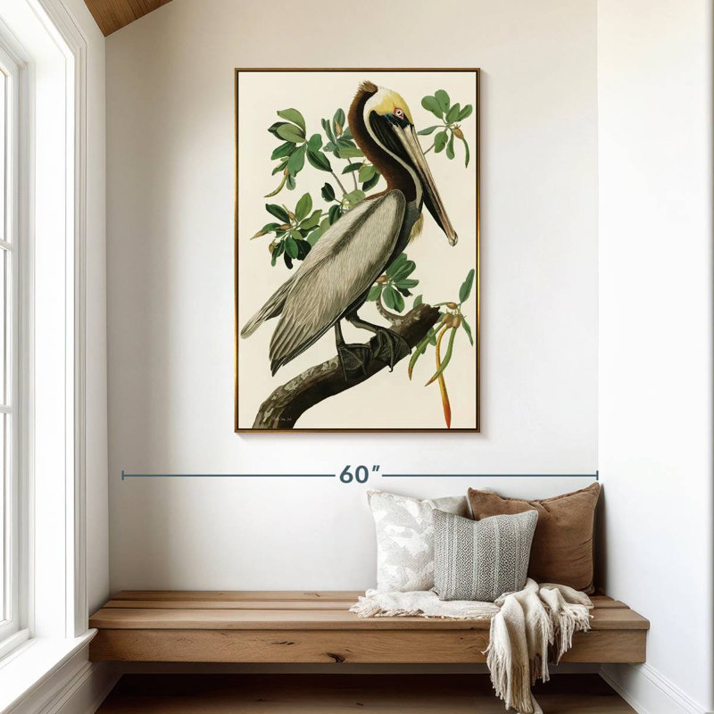 Pélican Audubon, 31 po x 46 po, Cadre flottant doré