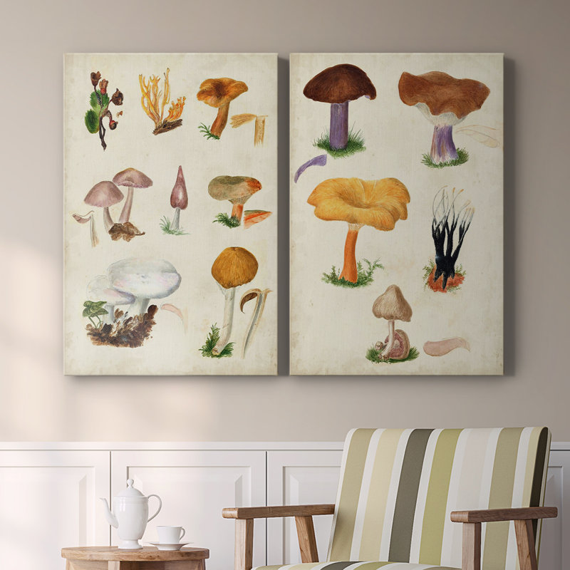 Toile tendue avec châssis d'espèces de champignons VI-Premium - prête à être accrochée, H 60 po x l 80 po