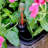 Anyce Pot Planter