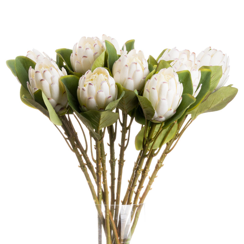 Anastasija Arrangement