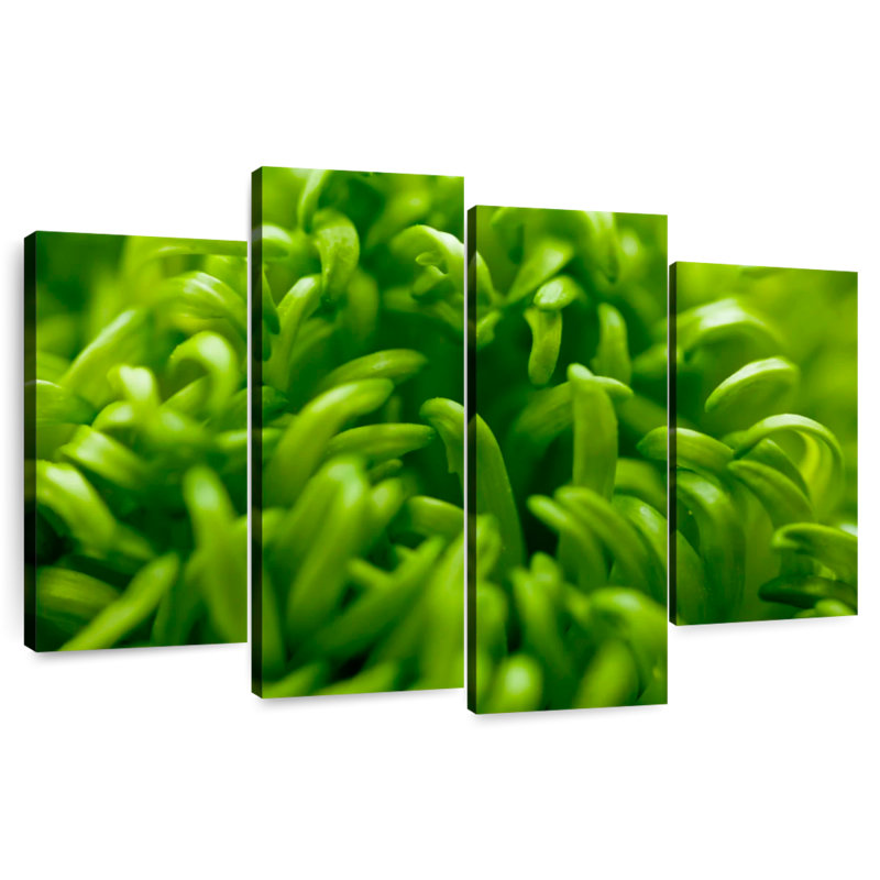 Harnek Lime Heart I, 42" H x 68" W