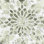 " The Decorative Pattern "
