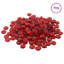 Glass Garden Accents Accessories-660102088