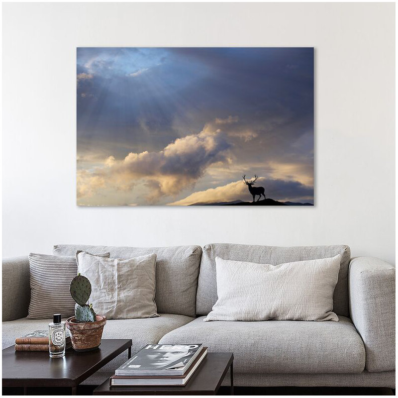Not All Who Wander Are Lost by Dominic Liam - Wrapped Canvas Print, 30cm H x 46cm W x 4cm D