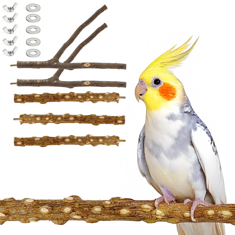 5 perchoirs en bois naturel pour cage à oiseaux