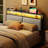 Makieh Upholstered Headborad with Charging Station and Led Lights-1903717729