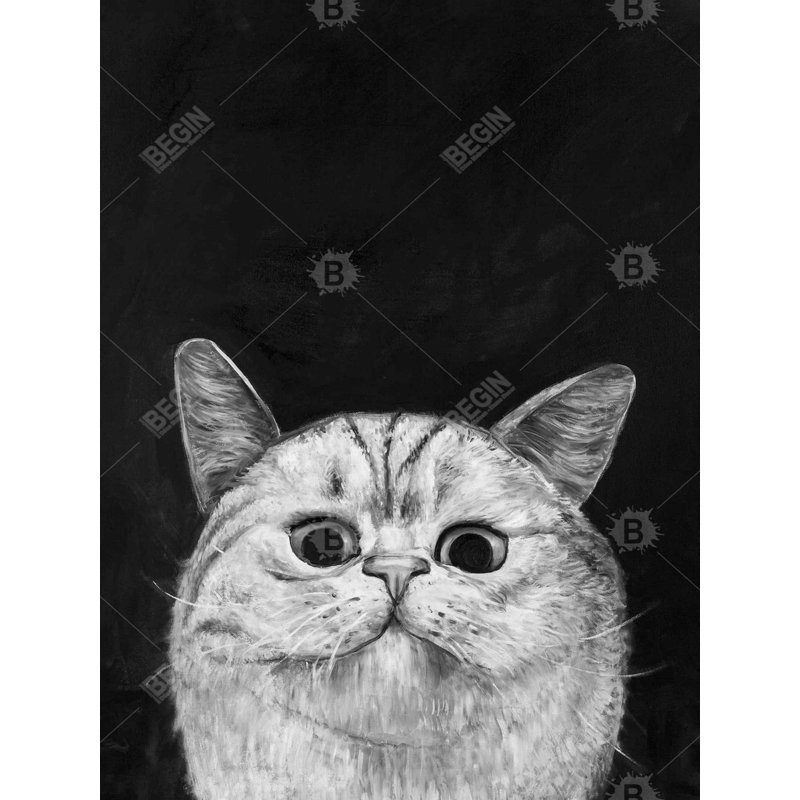 Watching cat Bath Mat with Non-Slip Backing - Quick Dry Memory Foam Bathroom Rug - Absorbent - Modern Plush Spa-Style - Machine Washable