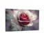 Plantes et fleurs rose tendre avec pétales délicats Z25122408424094454-1796428435