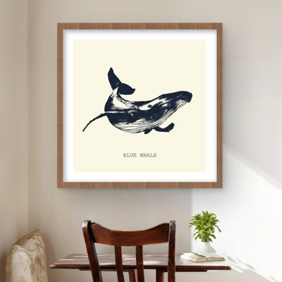 Croquis de baleine bleue - Animaux aquatiques, reproduction encadrée