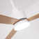 52" 3 - Blade Ceiling Fan With LED Lights And Remote Control