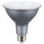 19 Watt Silver Bulb
