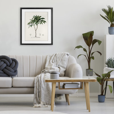 «Coastal Palms», reproduction d'art encadrée sous verre, design par Val Rhodes
