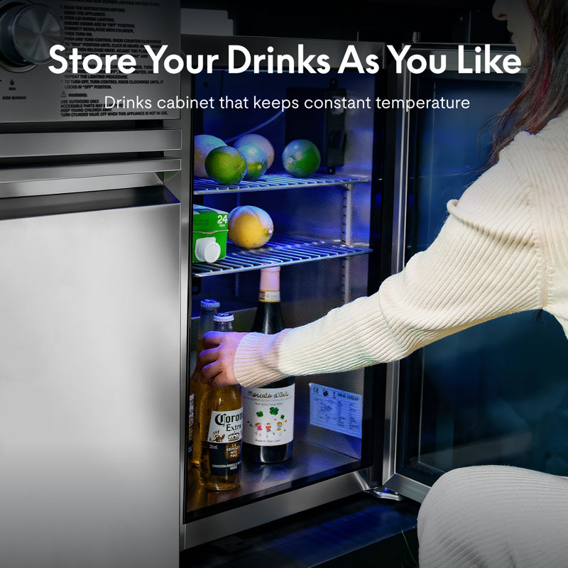 Akoah Outdoor Stainless Steel Modular Mini Fridge, Freestanding With Wheels