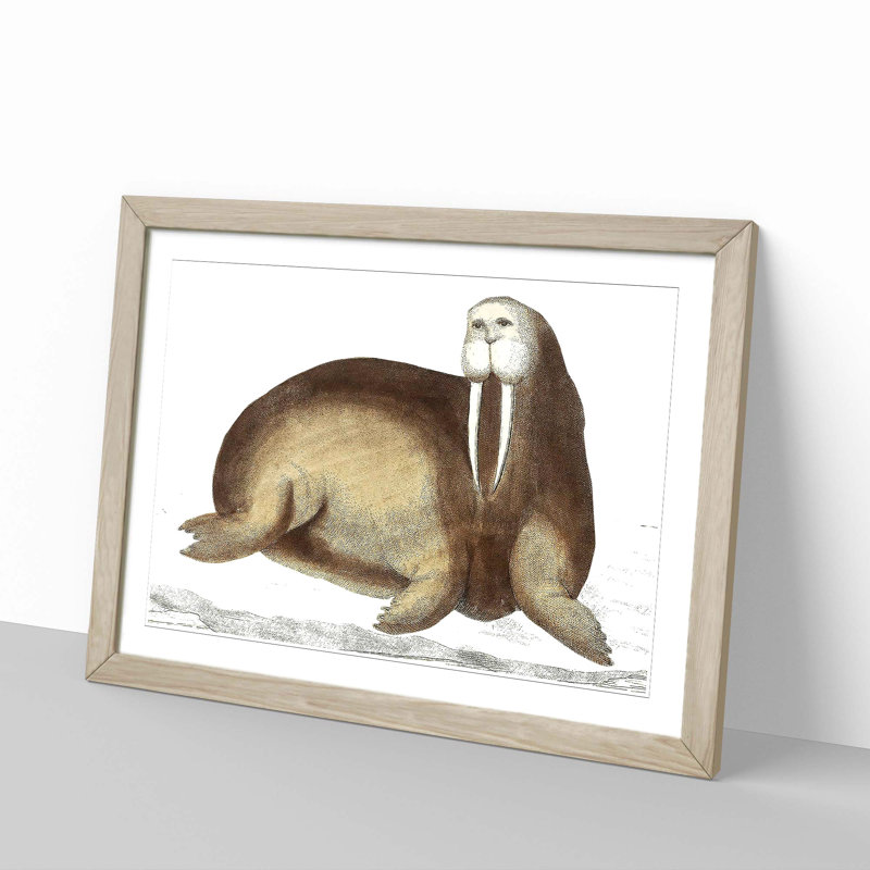 Arctic Walrus by George Shaw - Picture Frame Painting, Oak, 40cm H x 60cm W x 2cm D