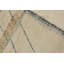 Tribal Hand Woven Wool Area Rug