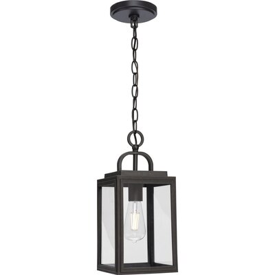 One-Light Transitional Clear Glass Outdoor Hanging Light -  Progress Lighting, P550064-020