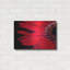 Gerbera rouge avec gouttes d'eau 03 par Tom Quartermaine-911221902