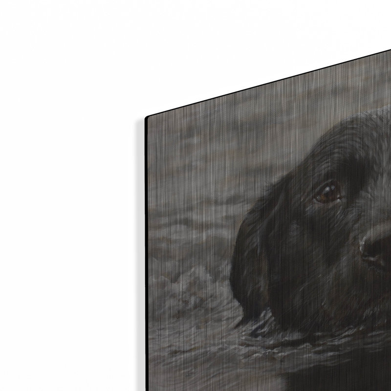 " Dog Shark " by John Silver, 12" H x 16" W