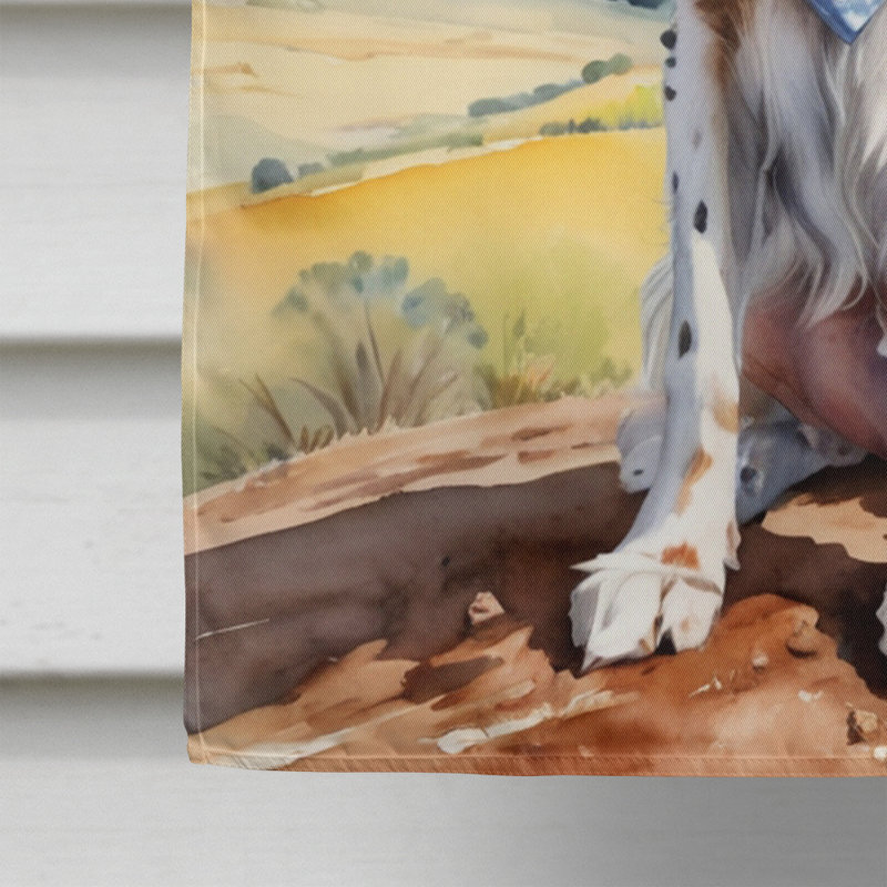 Drapeau Cowboy Welcome House, Setter anglais