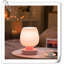 Lampe d'appoint Dausen