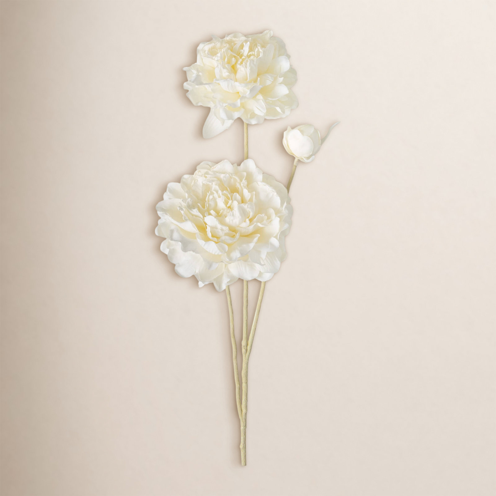Peony Floral Stems, Cream