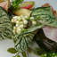 Faux Plastic 60cm Wreath