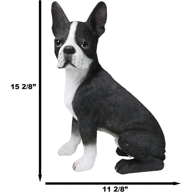 Grand chien réaliste Boston Terrier 15 po