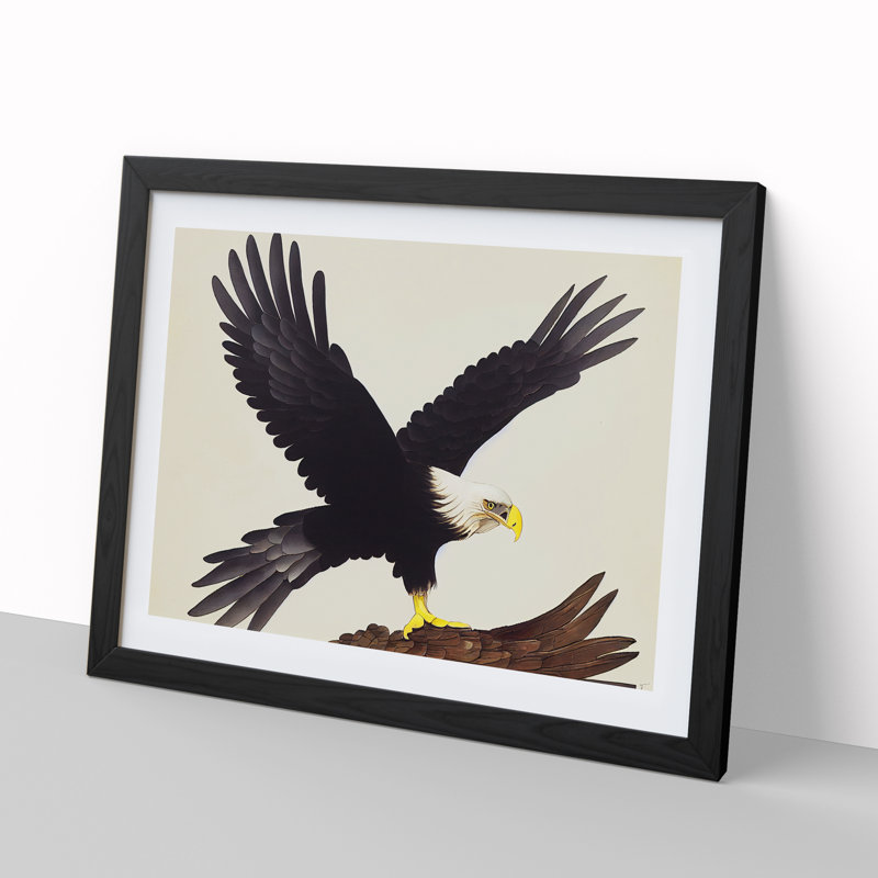 Exquisite Eagle Bird - Single Picture Frame Painting, 46cm H x 64cm W x 2cm D, Black