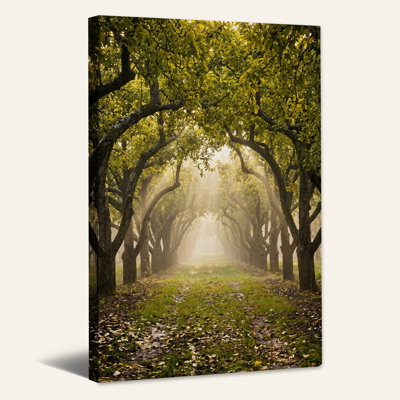Art mural sur toile Sunlit