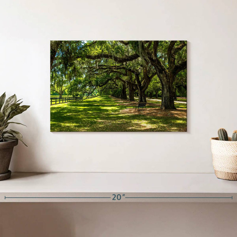 Paysage Harnek Boone Hall, H 8 po x l 12 po
