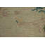 Tapis art déco végétal 7 x 9