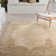 Goetz Oriental Area Rug