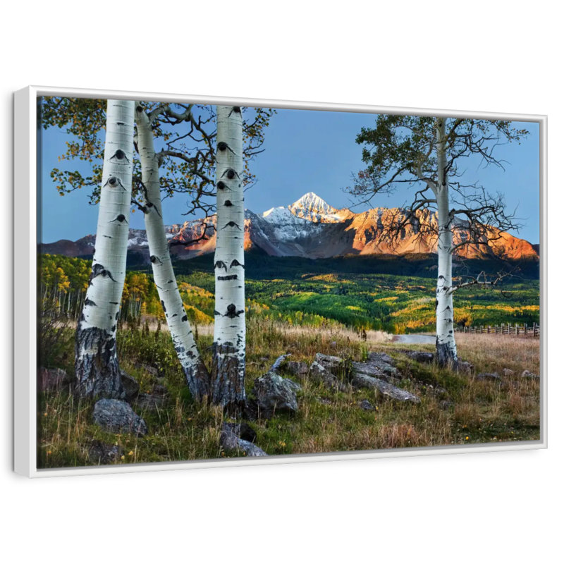 Wilson Wilson avec trembles au premier plan, Cadre flottant blanc, 40 po x 27 po
