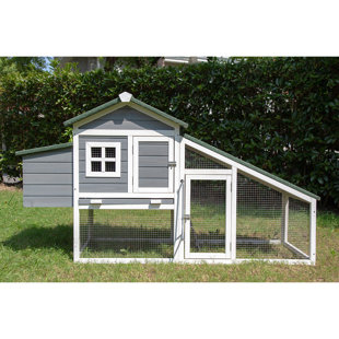 18.8 Square Feet Chicken Coop with Chicken Run For Up To 3 Chickens