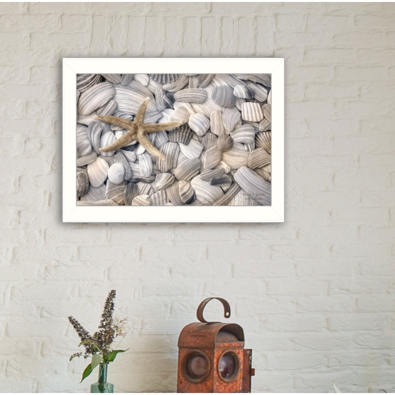 «Starfish and Seashell», art mural encadré pour salon, impression murale par Lori Deiter, Cadre blanc